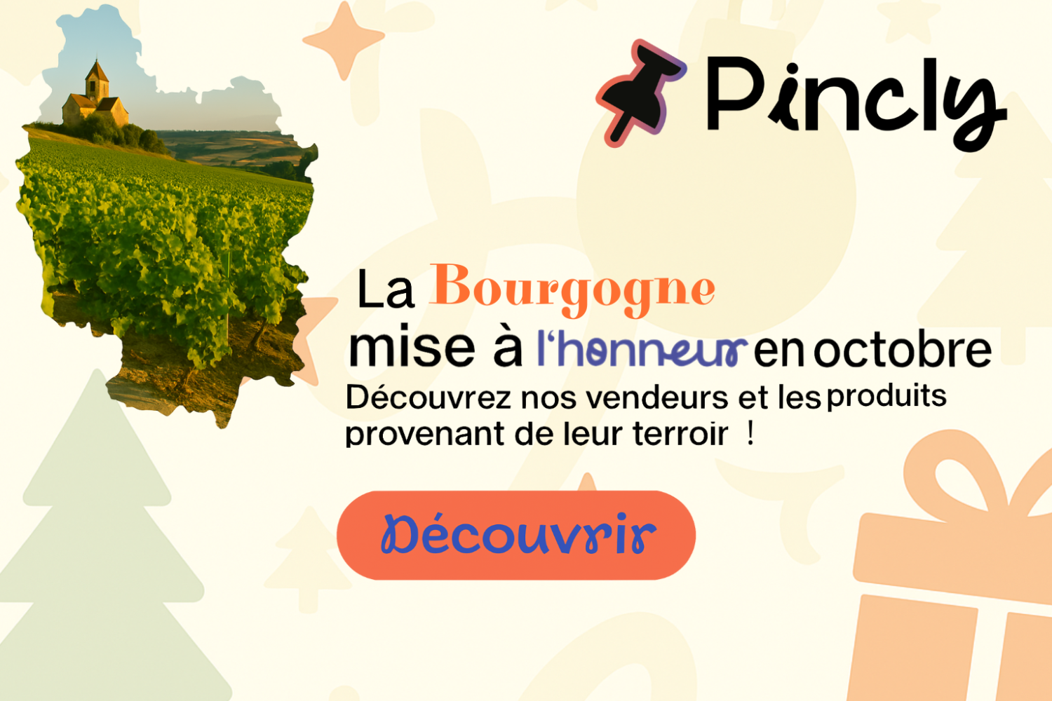 Pincly promo